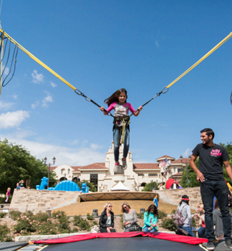 Bungee Trampoline